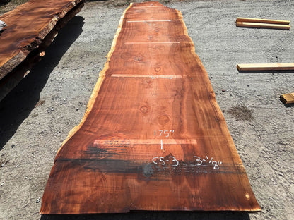 Giant Sequoia Live Edge Slab – 16.17' x 61" x 3.125" – Old Growth, Air-Dried – #C5-3