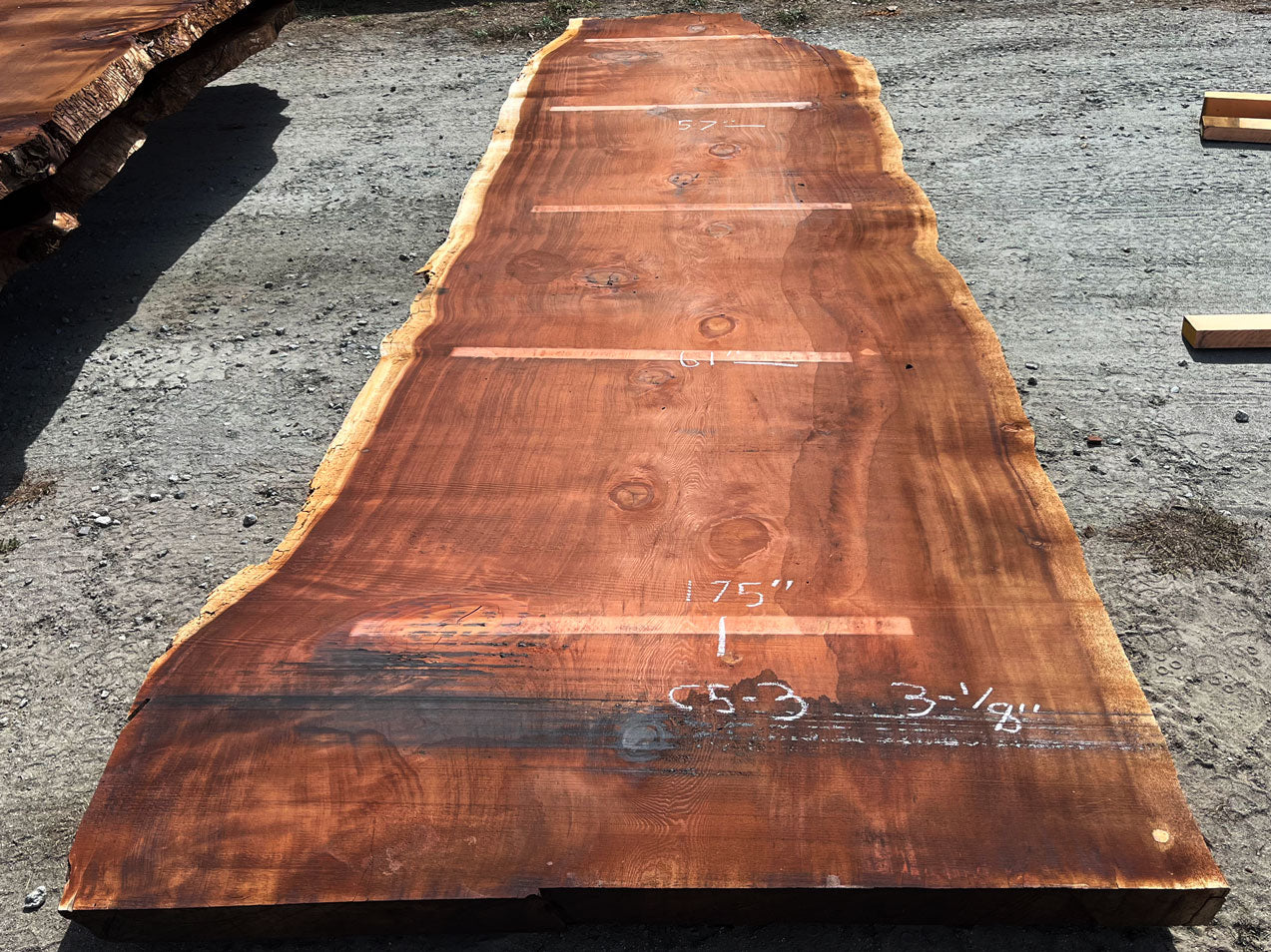 Giant Sequoia Live Edge Slab – 16.17' x 61" x 3.125" – Old Growth, Air-Dried – #C5-3