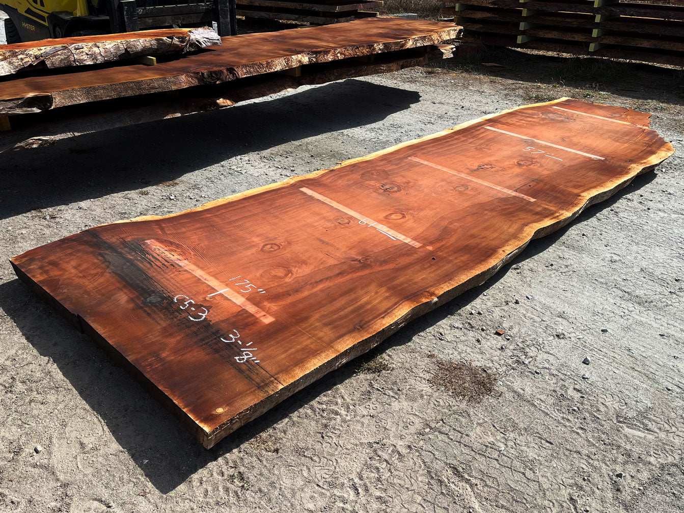 Giant Sequoia Live Edge Slab – 16.17' x 61" x 3.125" – Old Growth, Air-Dried – #C5-3
