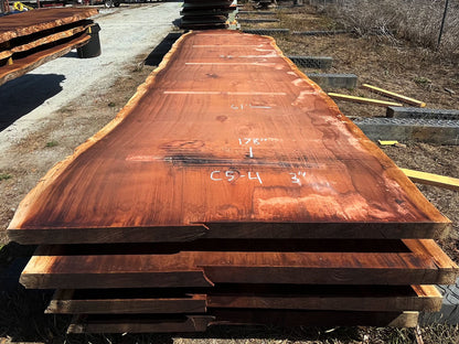 Giant Sequoia Live Edge Slab – 16.17' x 61" x 3" – Old Growth, Air-Dried – #C5-4