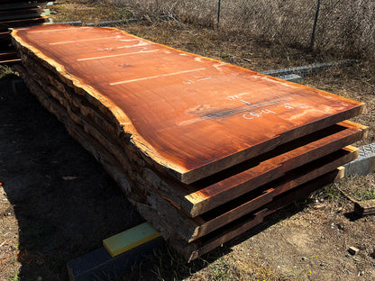 Giant Sequoia Live Edge Slab – 16.17' x 61" x 3" – Old Growth, Air-Dried – #C5-4