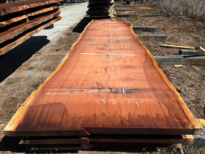 Giant Sequoia Live Edge Slab – 16.17' x 62" x 3.25" – Old Growth, Air-Dried – #C5-5