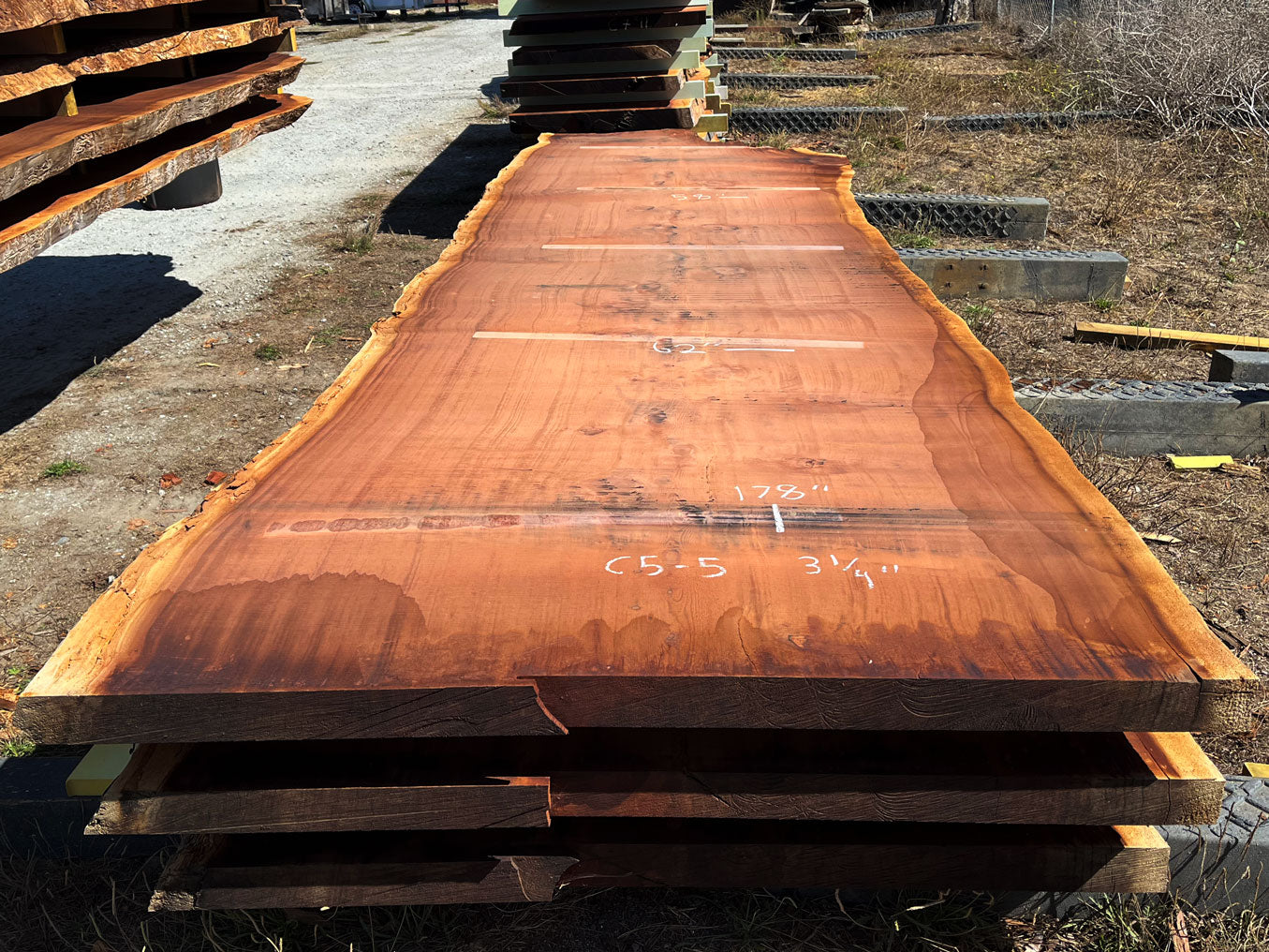 Giant Sequoia Live Edge Slab – 16.17' x 62" x 3.25" – Old Growth, Air-Dried – #C5-5