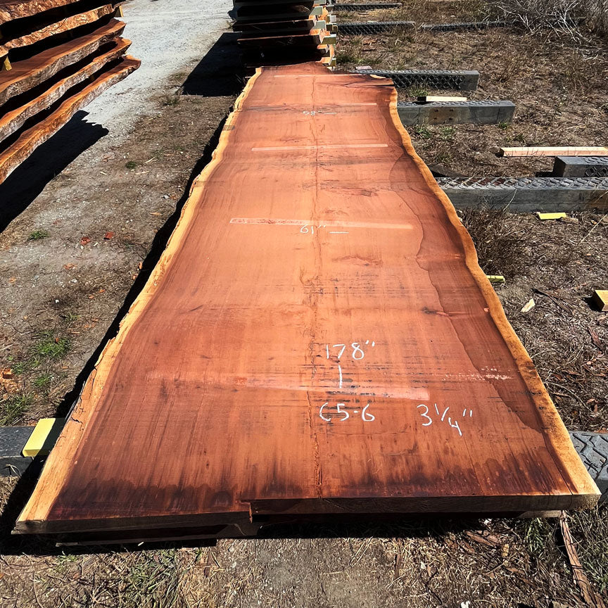 Giant Sequoia Live Edge Slab – 16' x 61" x 3.25" – Old Growth, Air-Dried – #C5-6