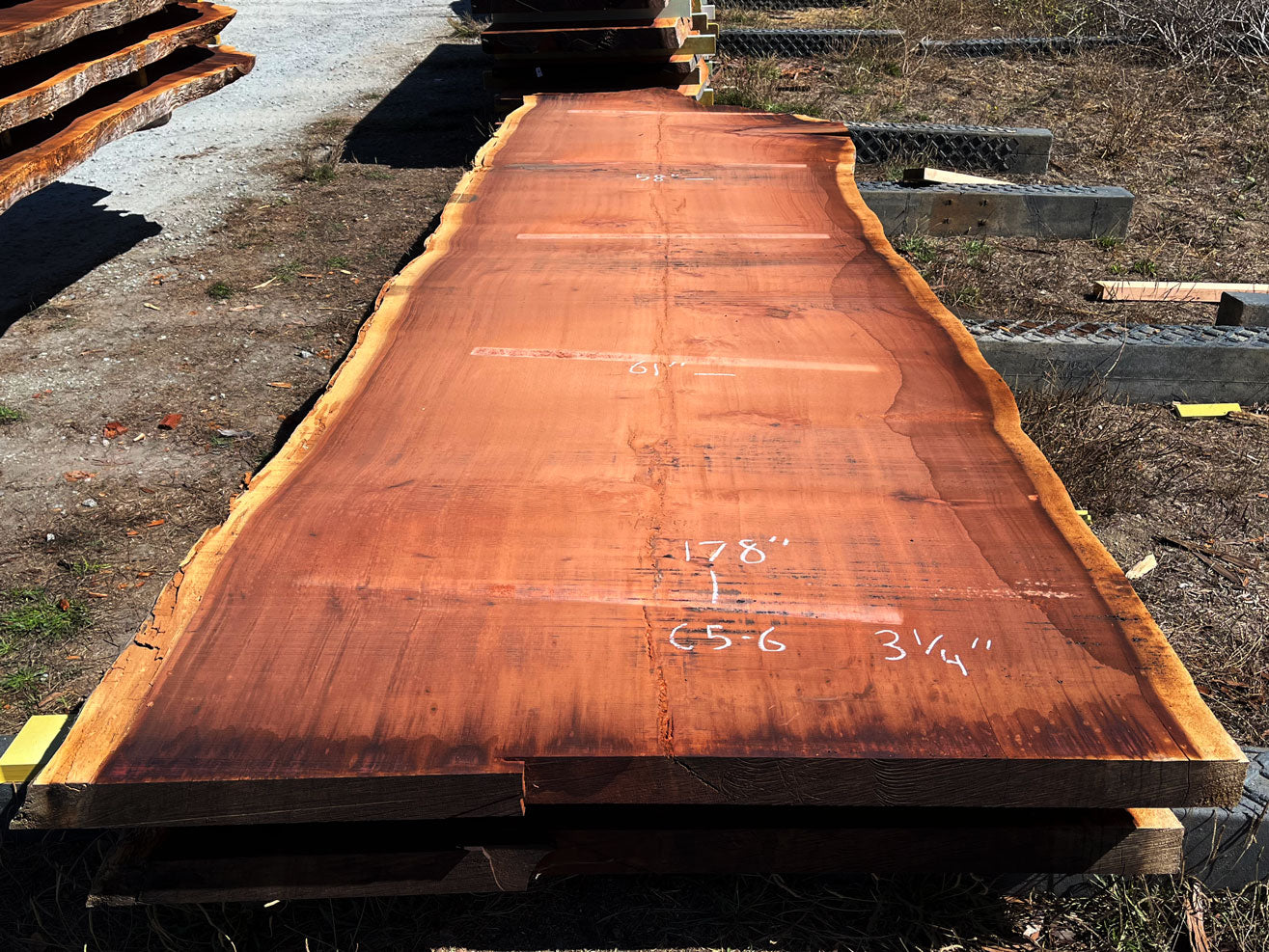 Giant Sequoia Live Edge Slab – 16' x 61" x 3.25" – Old Growth, Air-Dried – #C5-6