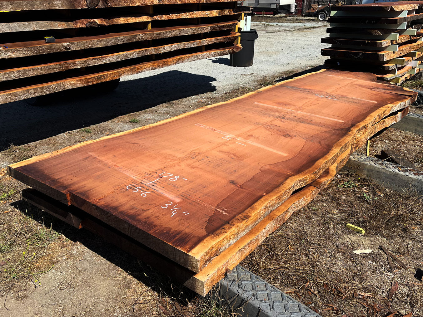 Giant Sequoia Live Edge Slab – 16' x 61" x 3.25" – Old Growth, Air-Dried – #C5-6