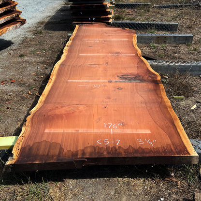 Giant Sequoia Live Edge Slab – 15.83' x 61" x 3.25" – Old Growth, Air-Dried – #C5-7