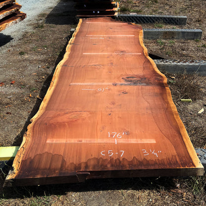 Giant Sequoia Live Edge Slab – 15.83' x 61" x 3.25" – Old Growth, Air-Dried – #C5-7