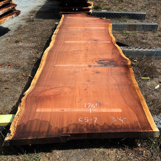Giant Sequoia Live Edge Slab – 15.83' x 61" x 3.25" – Old Growth, Air-Dried – #C5-7