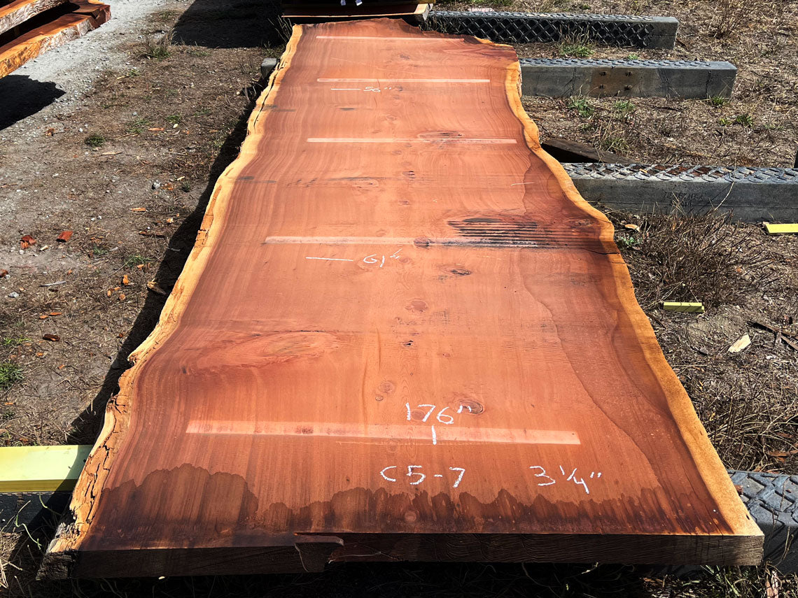 Giant Sequoia Live Edge Slab – 15.83' x 61" x 3.25" – Old Growth, Air-Dried – #C5-7
