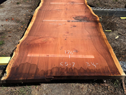 Giant Sequoia Live Edge Slab – 15.83' x 61" x 3.25" – Old Growth, Air-Dried – #C5-7