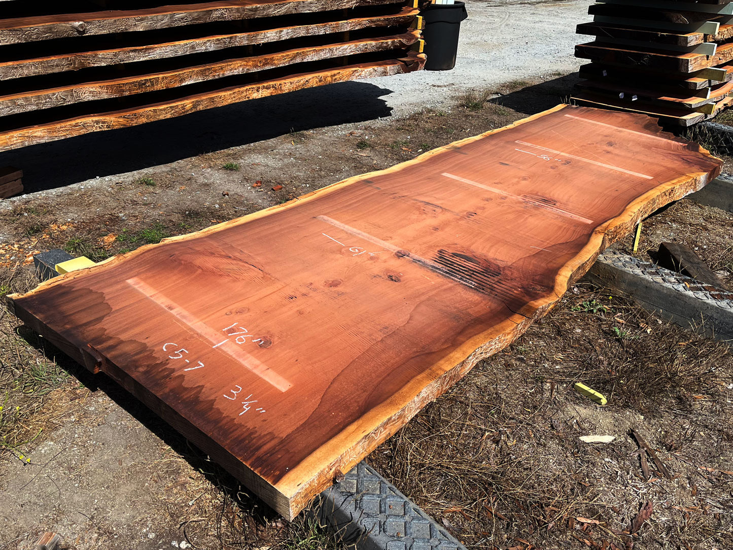 Giant Sequoia Live Edge Slab – 15.83' x 61" x 3.25" – Old Growth, Air-Dried – #C5-7