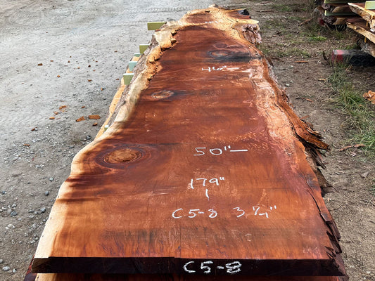 Giant Sequoia Live Edge Slab – 14.92' x 50" x 3.25" – Old Growth, Air-Dried – #C5-8