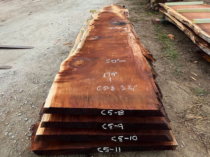 Giant Sequoia Live Edge Slab – 14.92' x 50" x 3.25" – Old Growth, Air-Dried – #C5-8