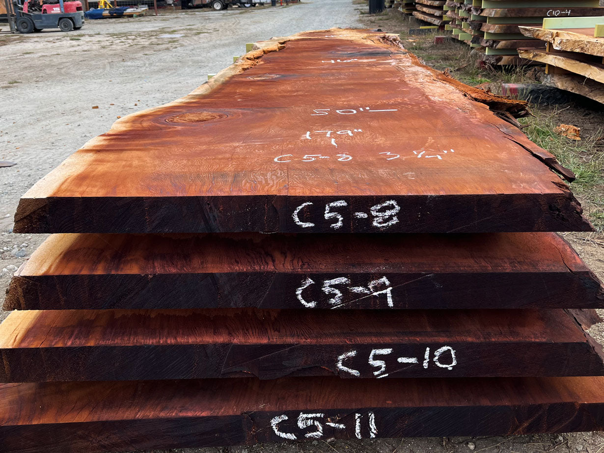Giant Sequoia Live Edge Slab – 14.92' x 50" x 3.25" – Old Growth, Air-Dried – #C5-8