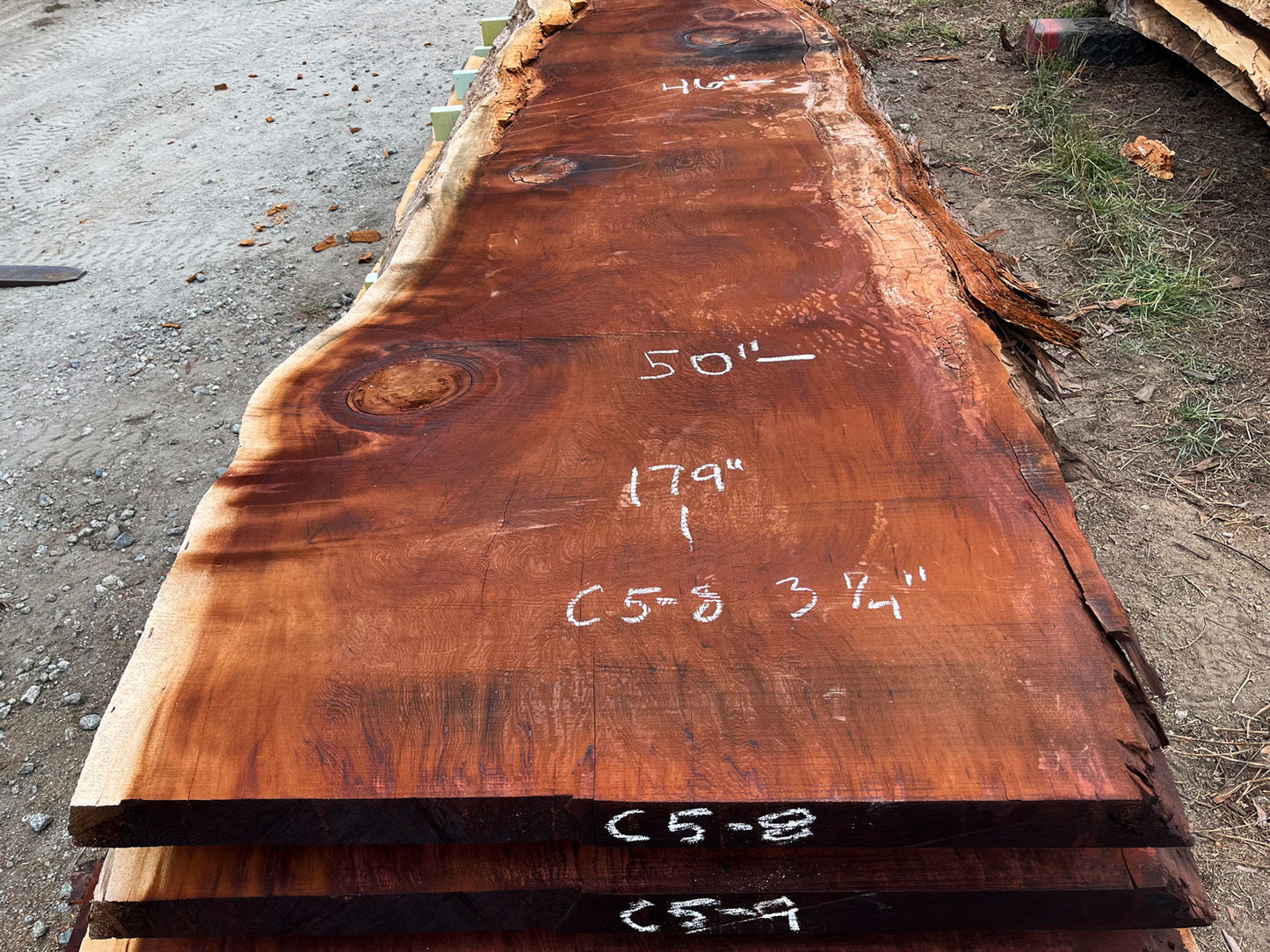 Giant Sequoia Live Edge Slab – 14.92' x 50" x 3.25" – Old Growth, Air-Dried – #C5-8