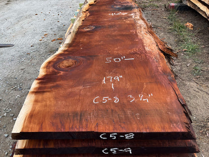 Giant Sequoia Live Edge Slab – 14.92' x 50" x 3.25" – Old Growth, Air-Dried – #C5-8