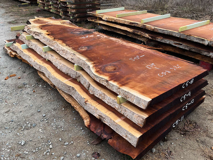 Giant Sequoia Live Edge Slab – 14.92' x 50" x 3.25" – Old Growth, Air-Dried – #C5-8