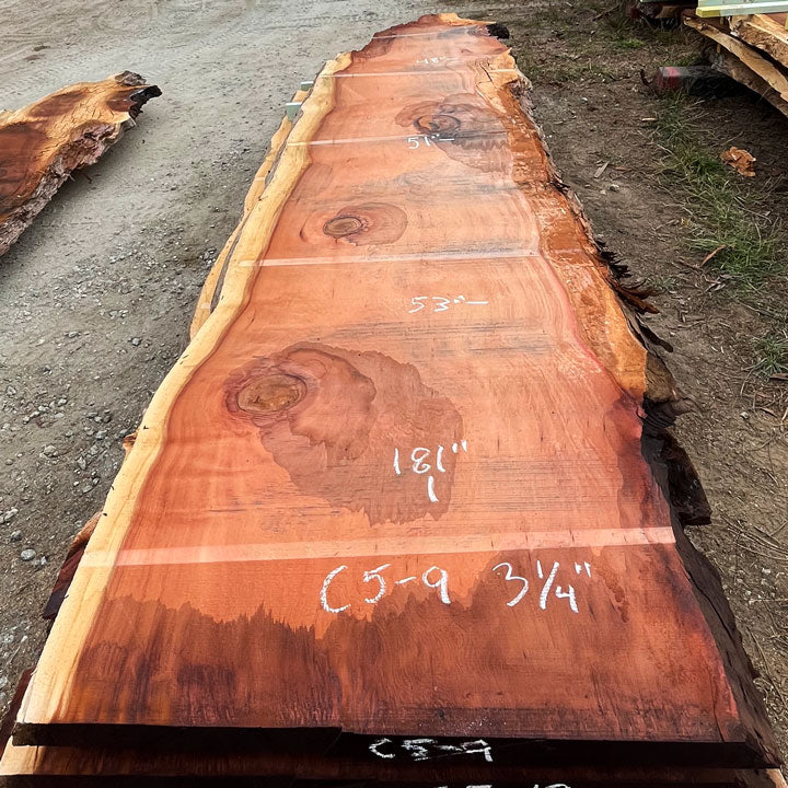 Giant Sequoia Live Edge Slab – 15.08' x 53" x 3.25" – Old Growth, Air-Dried – #C5-9