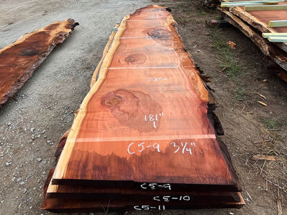 Giant Sequoia Live Edge Slab – 15.08' x 53" x 3.25" – Old Growth, Air-Dried – #C5-9