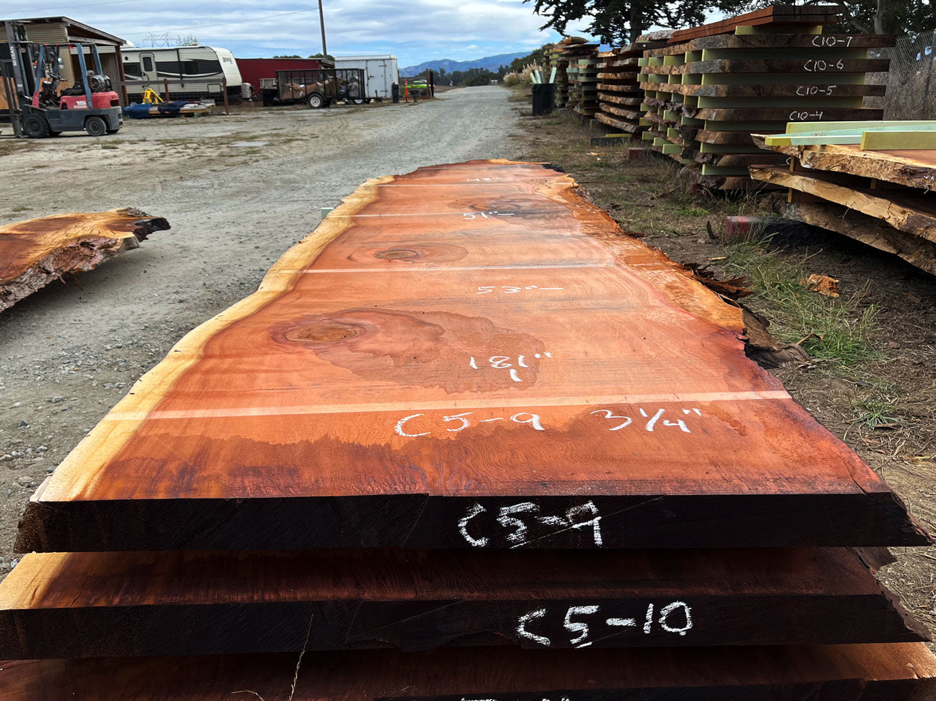 Giant Sequoia Live Edge Slab – 15.08' x 53" x 3.25" – Old Growth, Air-Dried – #C5-9