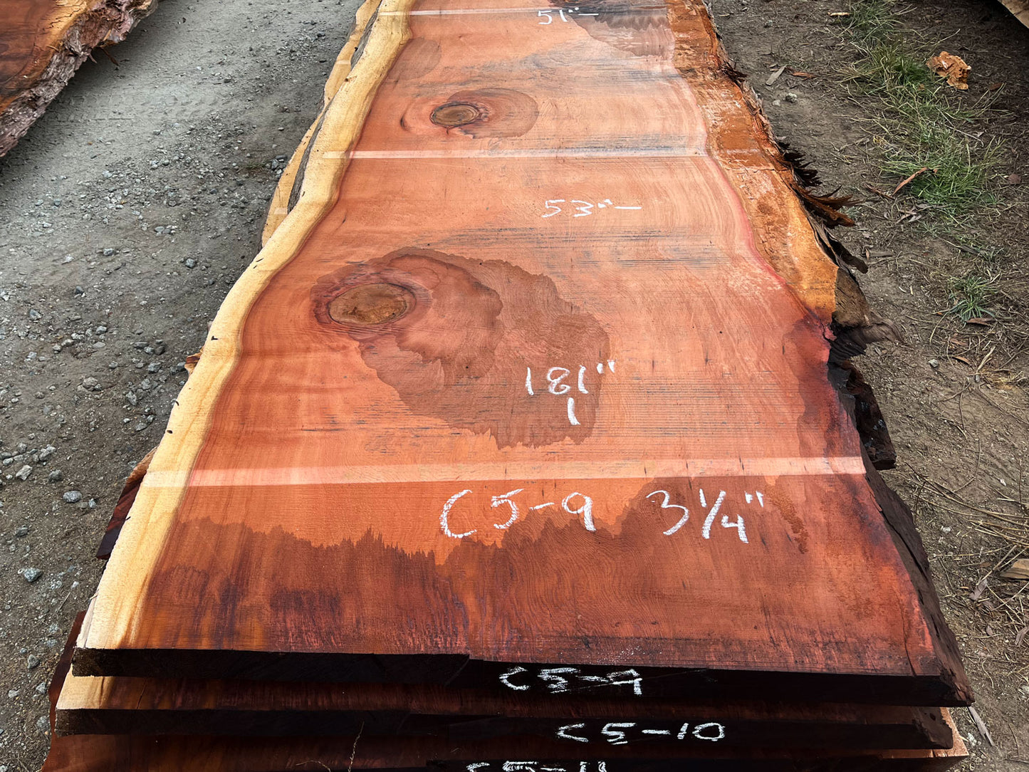 Giant Sequoia Live Edge Slab – 15.08' x 53" x 3.25" – Old Growth, Air-Dried – #C5-9