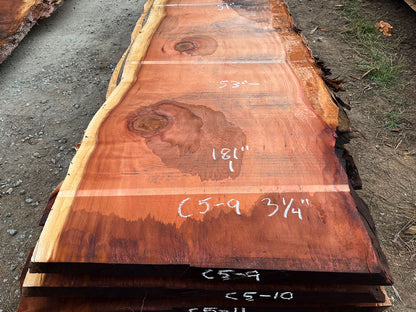 Giant Sequoia Live Edge Slab – 15.08' x 53" x 3.25" – Old Growth, Air-Dried – #C5-9