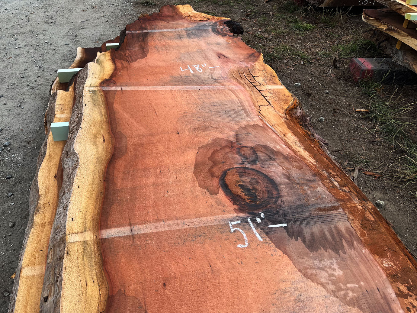 Giant Sequoia Live Edge Slab – 15.08' x 53" x 3.25" – Old Growth, Air-Dried – #C5-9
