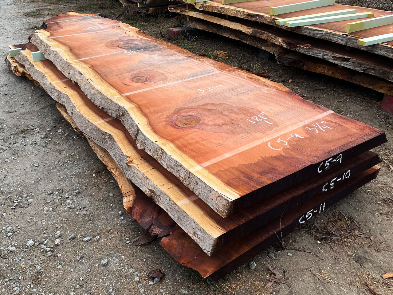 Giant Sequoia Live Edge Slab – 15.08' x 53" x 3.25" – Old Growth, Air-Dried – #C5-9