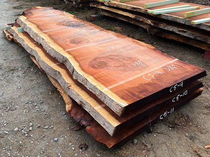 Giant Sequoia Live Edge Slab – 15.08' x 53" x 3.25" – Old Growth, Air-Dried – #C5-9