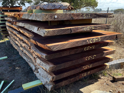 Giant Sequoia Live Edge Slab – 15.83' x 48" x 3.5" – Old Growth, Air-Dried – #C5-14