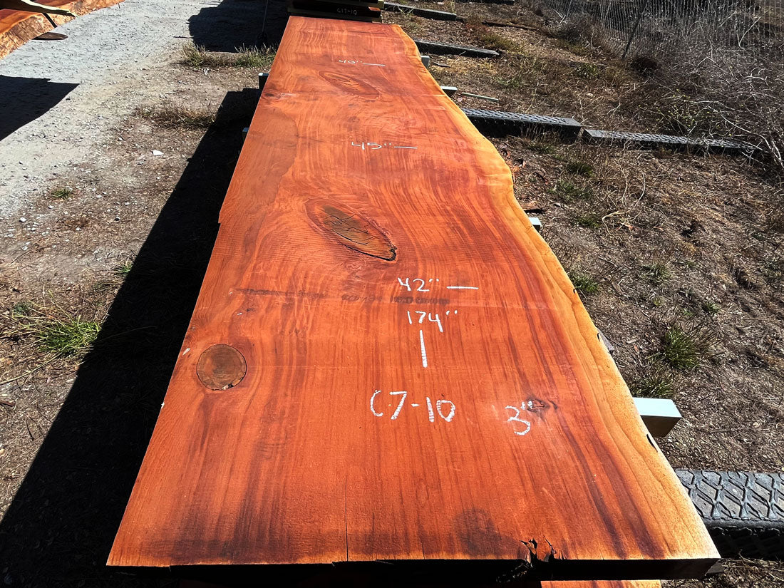 Giant Sequoia Live Edge Slab – 14.5' x 45" x 3" – Old Growth, Air-Dried – #C7-10