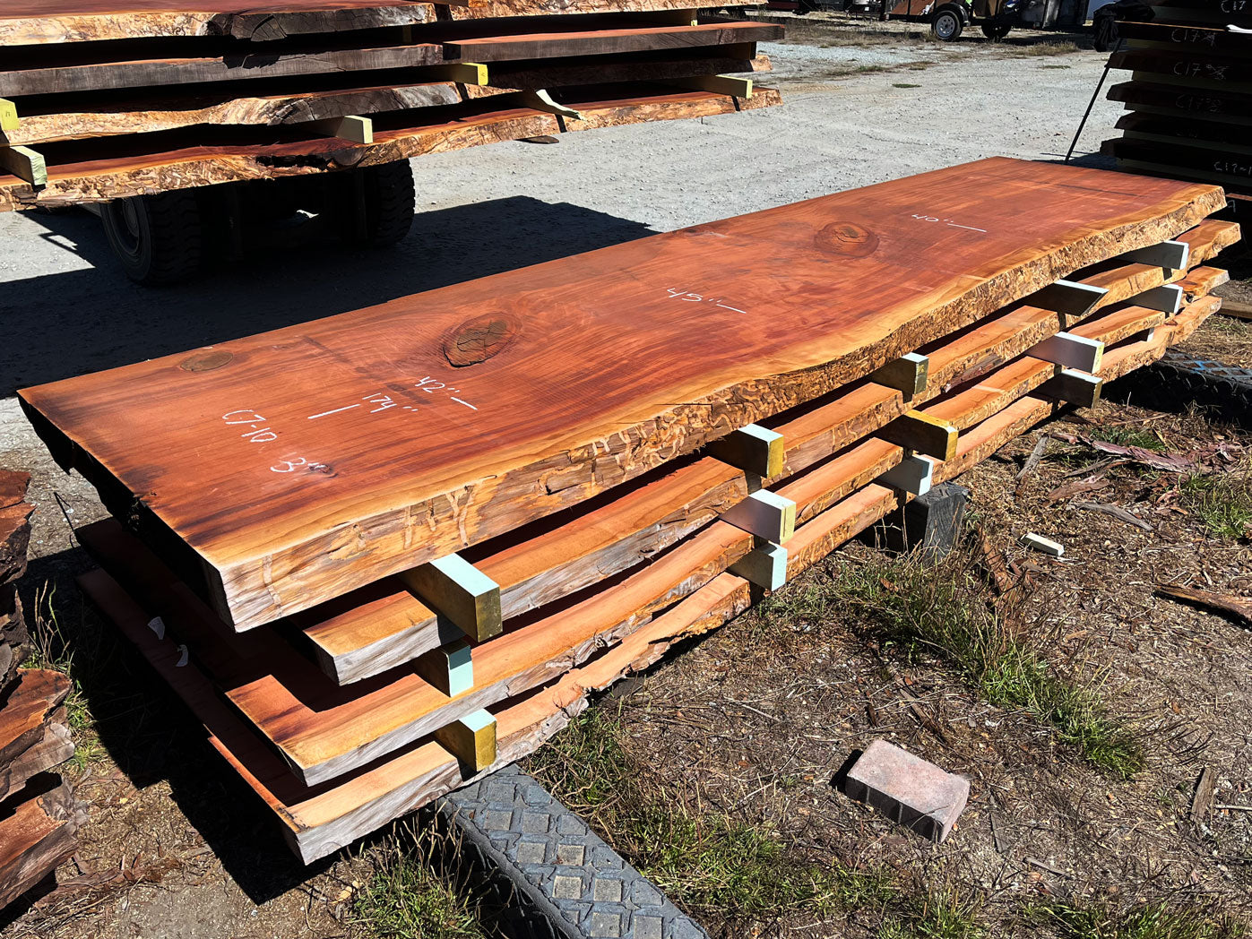 Giant Sequoia Live Edge Slab – 14.5' x 45" x 3" – Old Growth, Air-Dried – #C7-10