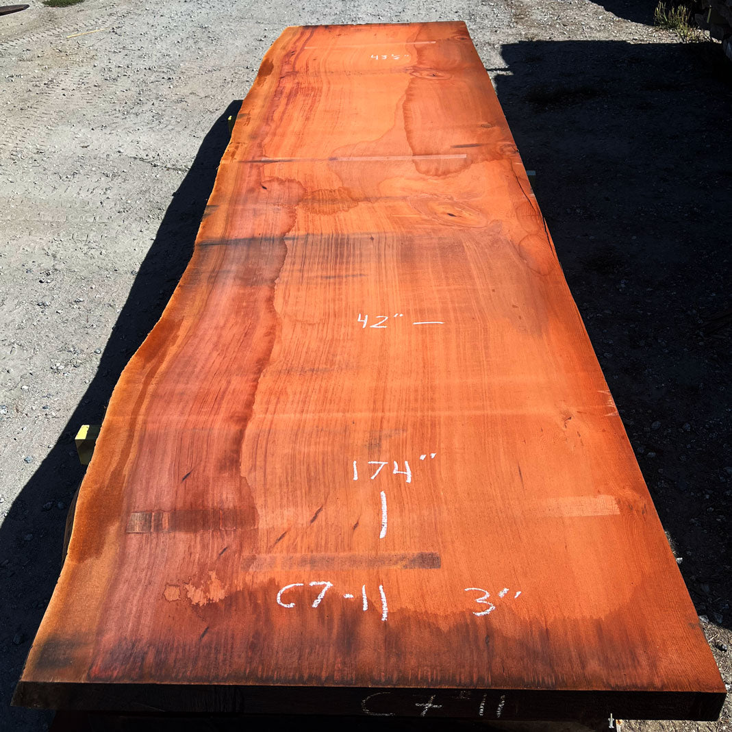 Giant Sequoia Live Edge Slab – 14.5' x 42" x 3" – Old Growth, Air-Dried – #C7-11