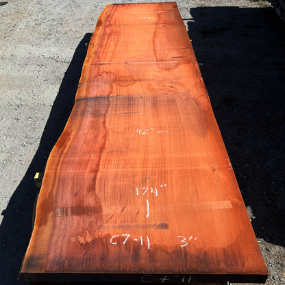 Giant Sequoia Live Edge Slab – 14.5' x 42" x 3" – Old Growth, Air-Dried – #C7-11