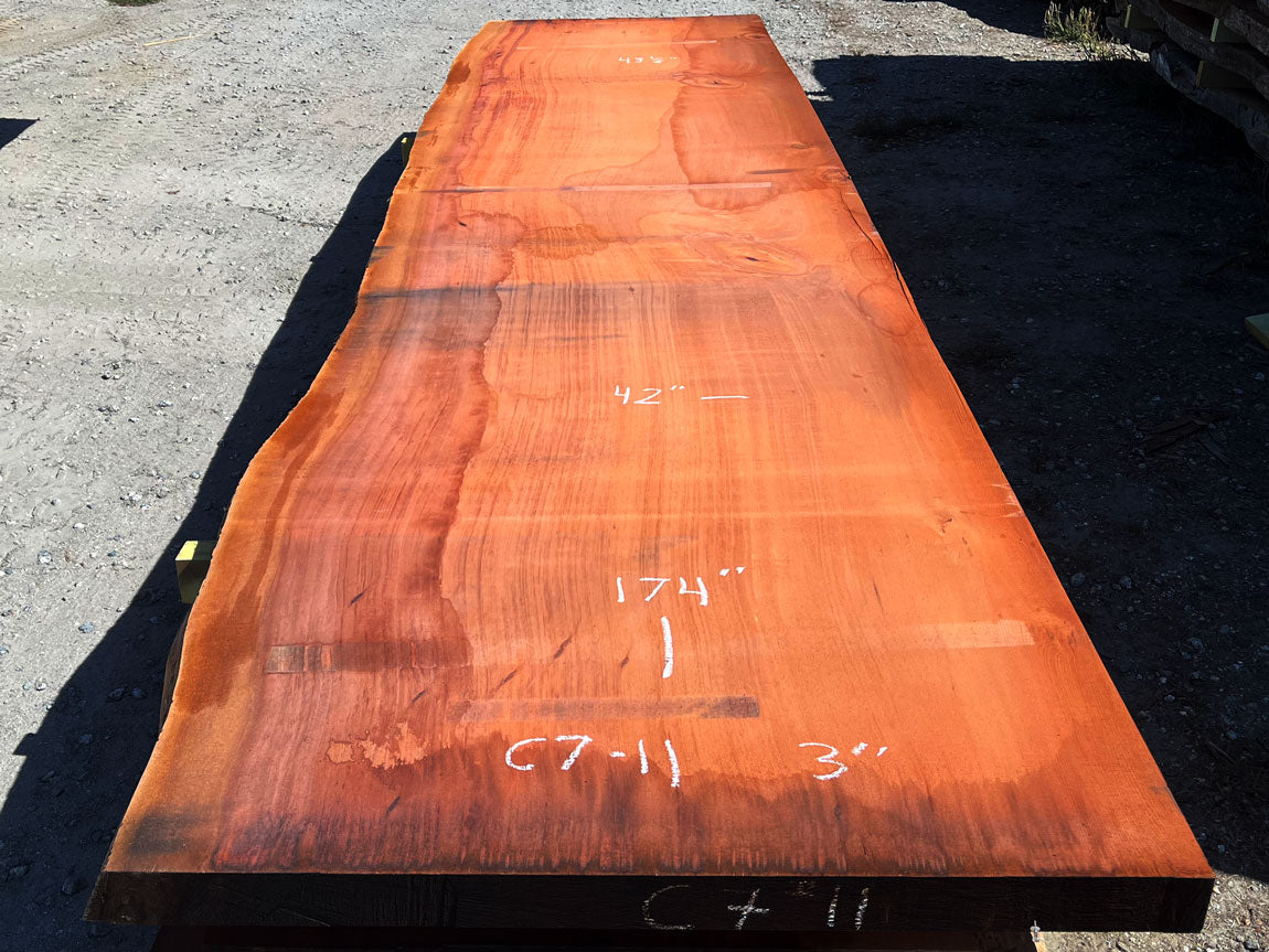 Giant Sequoia Live Edge Slab – 14.5' x 42" x 3" – Old Growth, Air-Dried – #C7-11