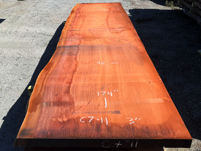 Giant Sequoia Live Edge Slab – 14.5' x 42" x 3" – Old Growth, Air-Dried – #C7-11