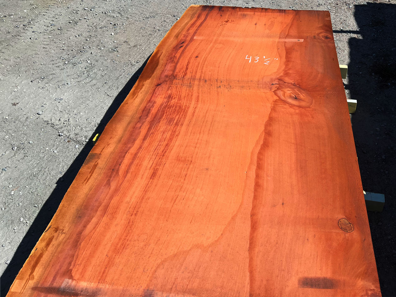 Giant Sequoia Live Edge Slab – 14.5' x 42" x 3" – Old Growth, Air-Dried – #C7-11
