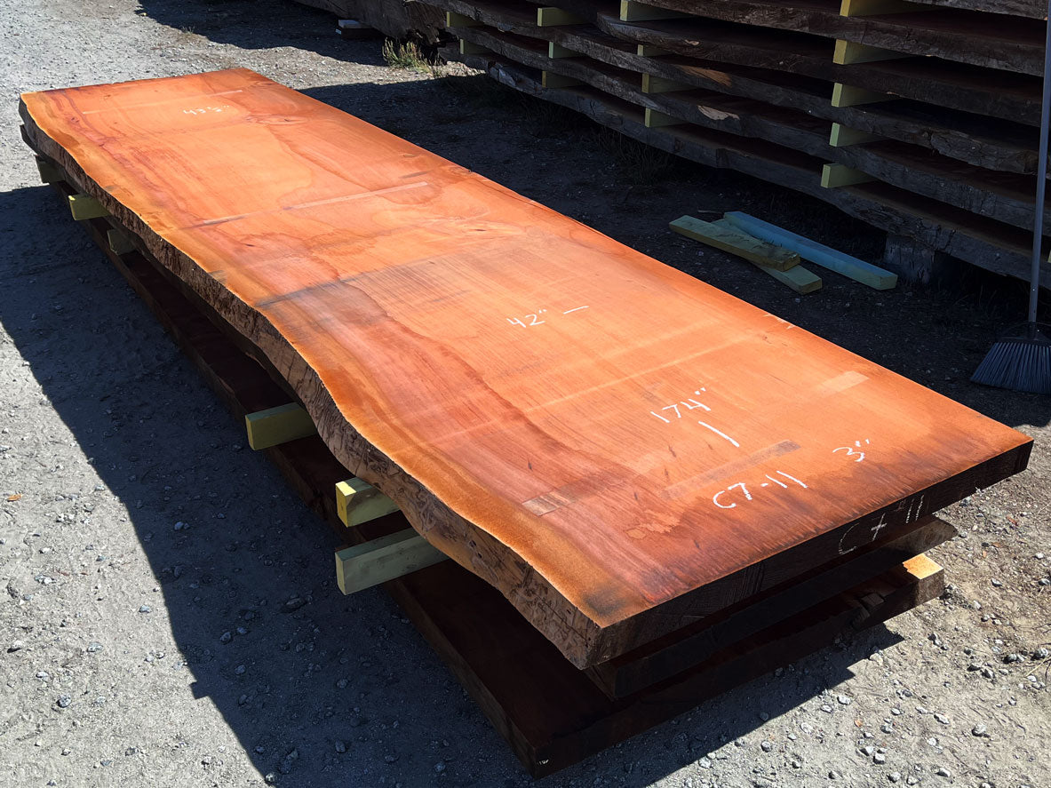 Giant Sequoia Live Edge Slab – 14.5' x 42" x 3" – Old Growth, Air-Dried – #C7-11