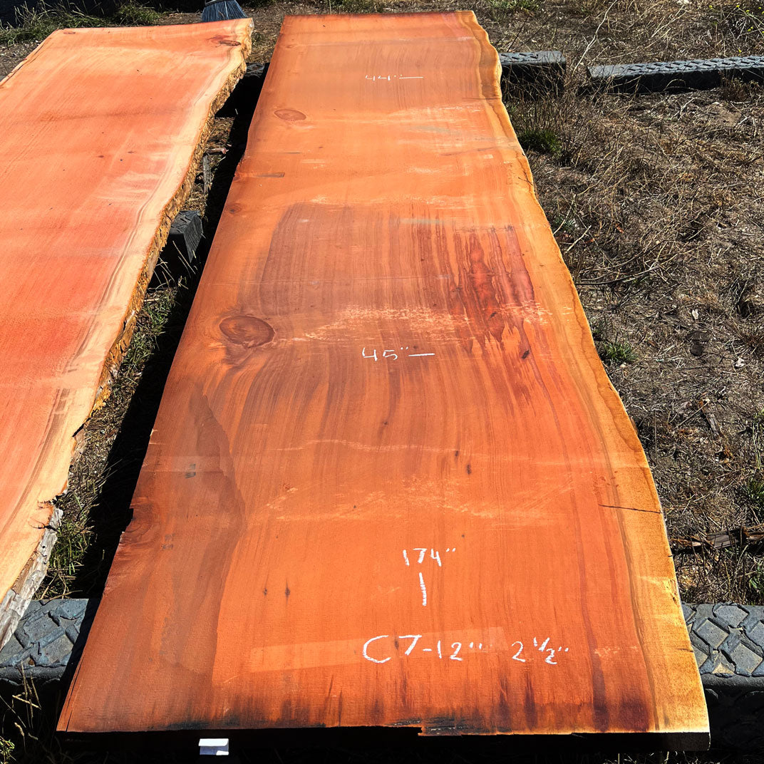 Giant Sequoia Live Edge Slab – 14.5' x 45" x 2.5" – Old Growth, Air-Dried – #C7-12