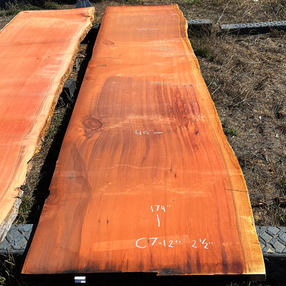 Giant Sequoia Live Edge Slab – 14.5' x 45" x 2.5" – Old Growth, Air-Dried – #C7-12