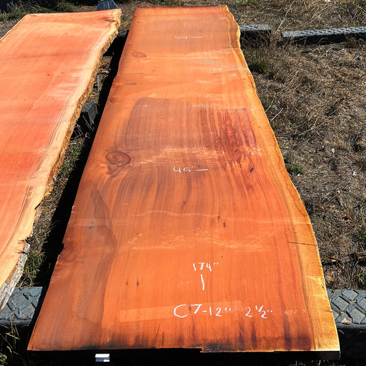 Giant Sequoia Live Edge Slab – 14.5' x 45" x 2.5" – Old Growth, Air-Dried – #C7-12
