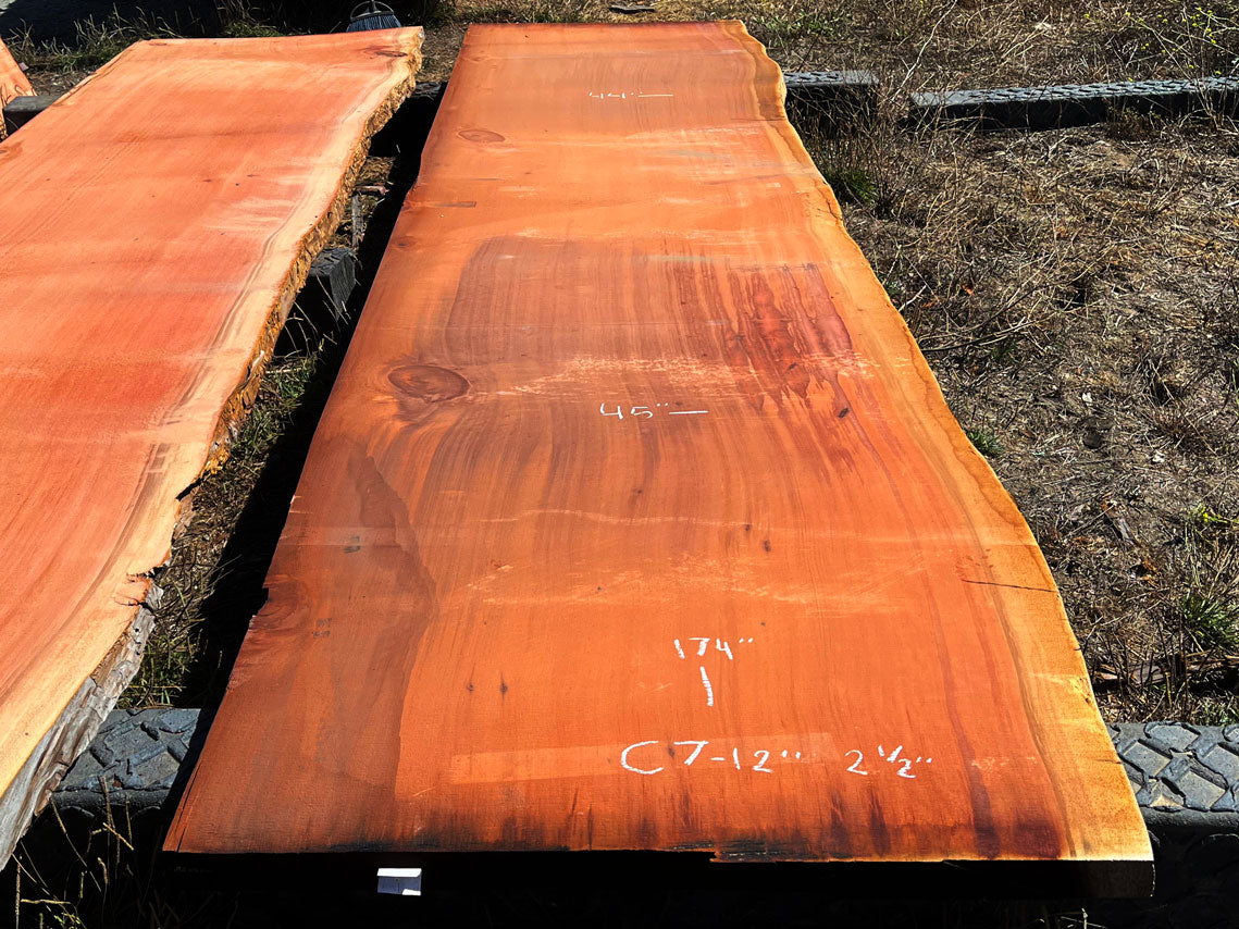 Giant Sequoia Live Edge Slab – 14.5' x 45" x 2.5" – Old Growth, Air-Dried – #C7-12