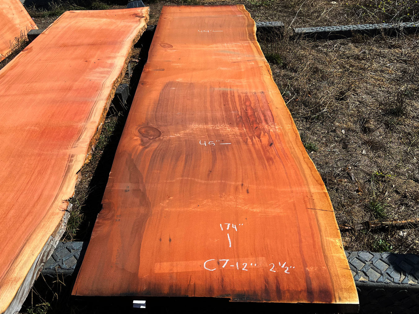 Giant Sequoia Live Edge Slab – 14.5' x 45" x 2.5" – Old Growth, Air-Dried – #C7-12