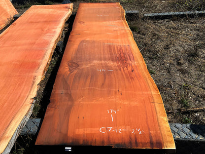Giant Sequoia Live Edge Slab – 14.5' x 45" x 2.5" – Old Growth, Air-Dried – #C7-12