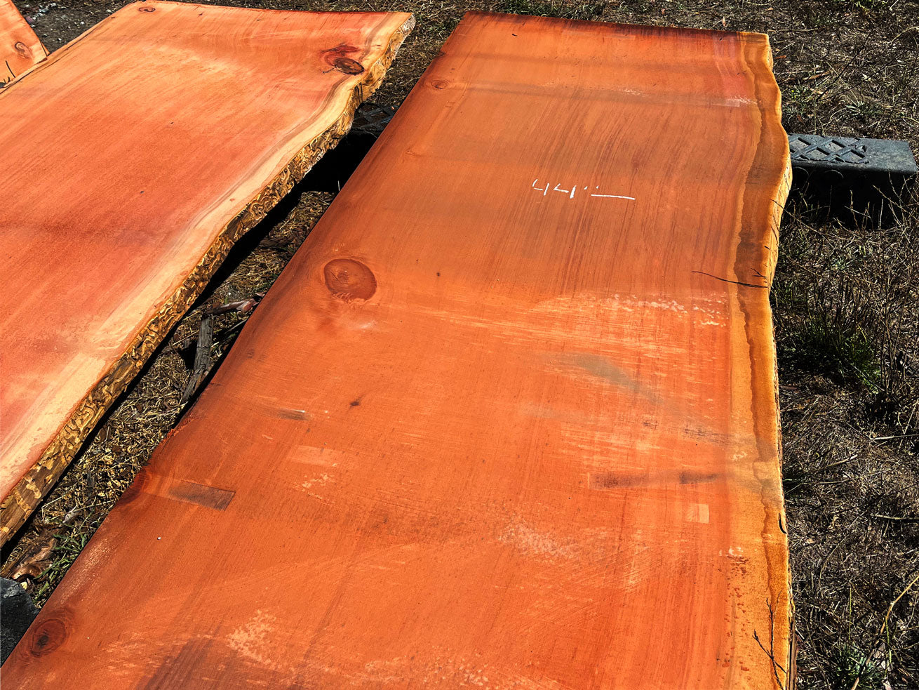 Giant Sequoia Live Edge Slab – 14.5' x 45" x 2.5" – Old Growth, Air-Dried – #C7-12