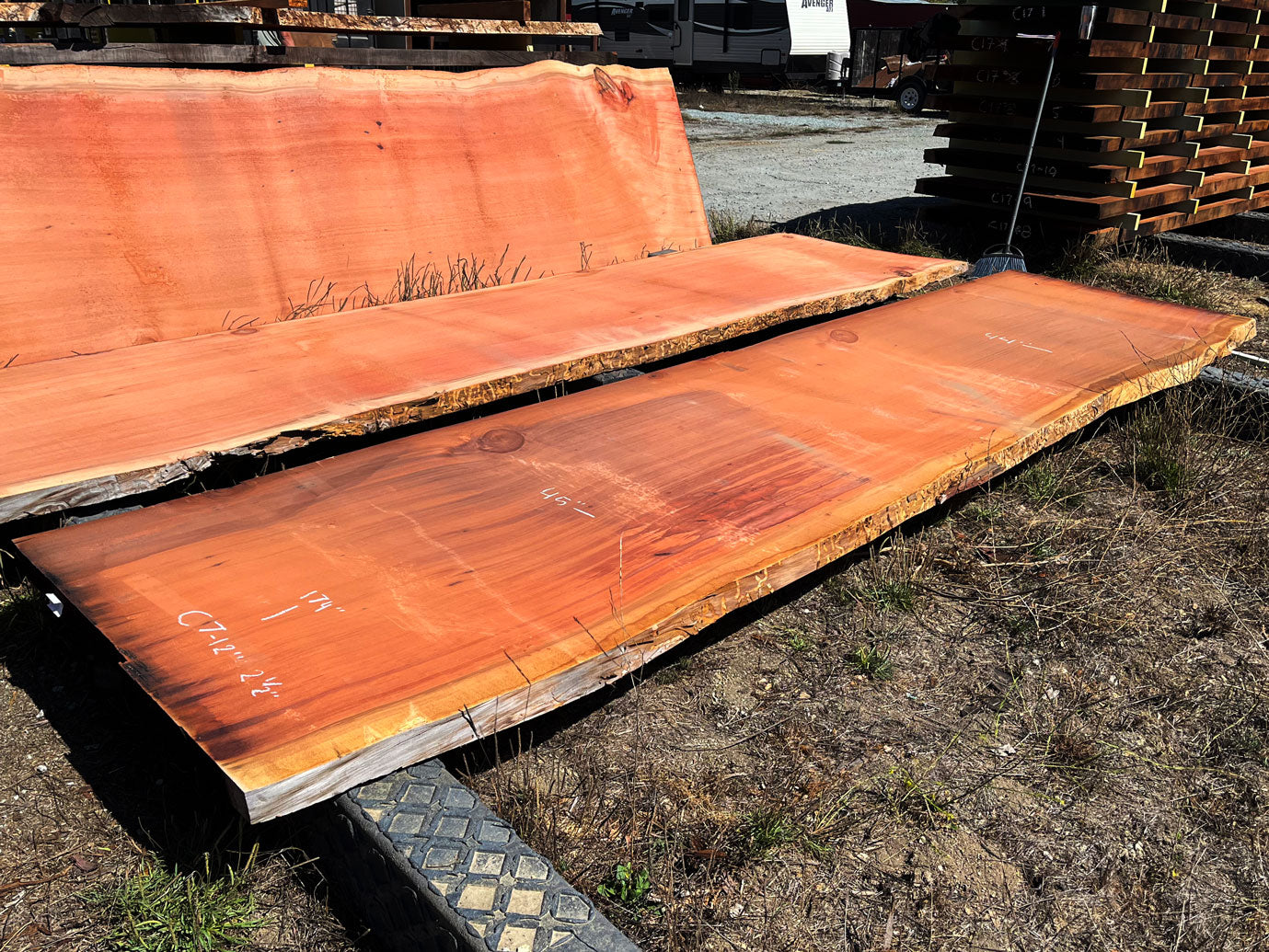 Giant Sequoia Live Edge Slab – 14.5' x 45" x 2.5" – Old Growth, Air-Dried – #C7-12