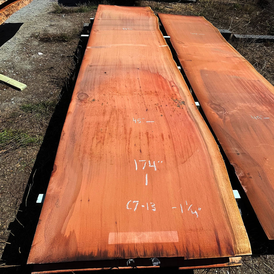 Giant Sequoia Live Edge Slab – 14.5' x 45" x 1.25" – Old Growth, Air-Dried – #C7-13