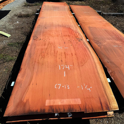 Giant Sequoia Live Edge Slab – 14.5' x 45" x 1.25" – Old Growth, Air-Dried – #C7-13
