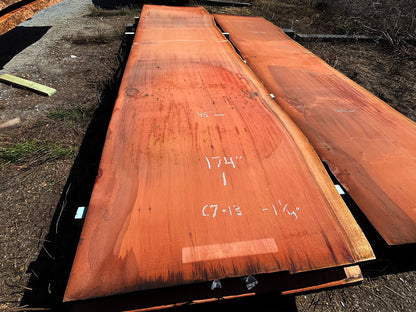 Giant Sequoia Live Edge Slab – 14.5' x 45" x 1.25" – Old Growth, Air-Dried – #C7-13